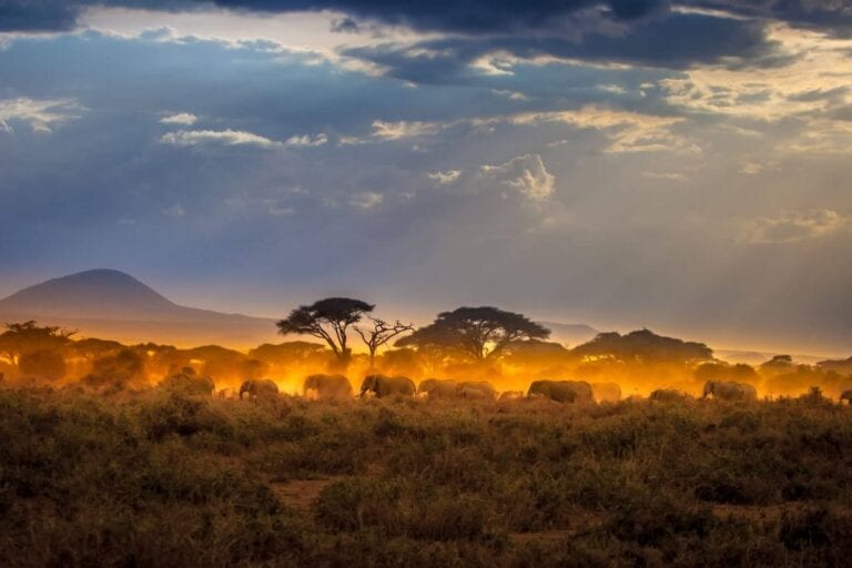 Safari Inspiration: 9 Perfect Days on a Kenya Safari