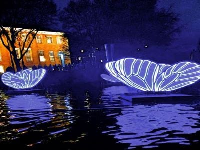 Butterfly Effect by Masamichi Shimada
Amsterdam Light Festival