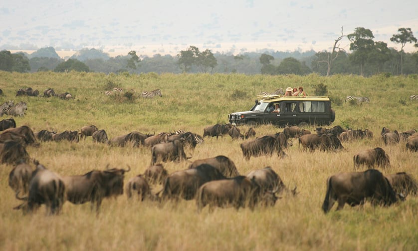 Wildlife Safari by Private Jet