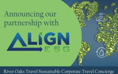 Sustainable Corporate Travel ESG Workshops