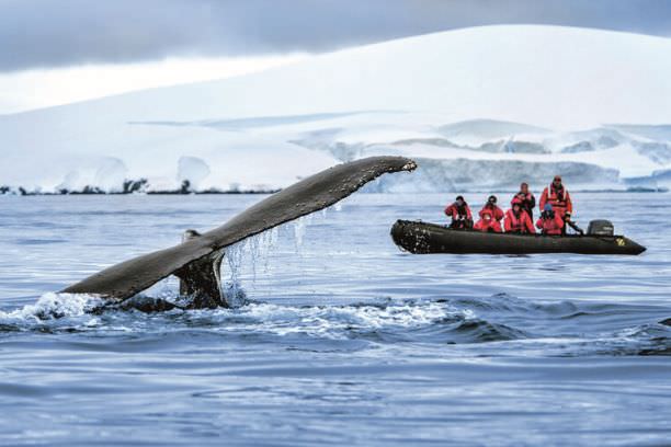 Ponant Yacht Cruises and Expeditions