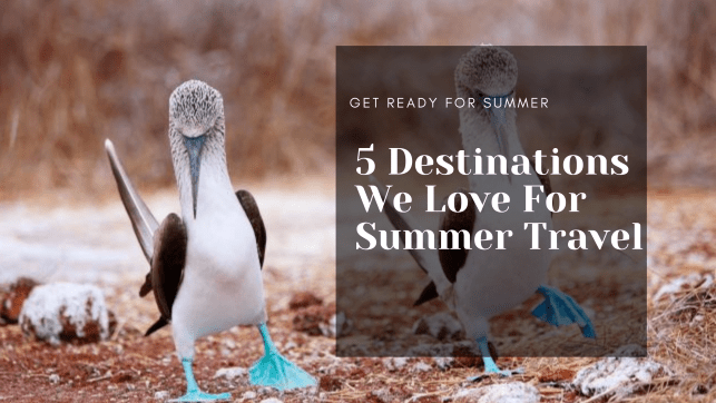 Get Ready for Summer: 5 Destinations We Love For Summer Travel