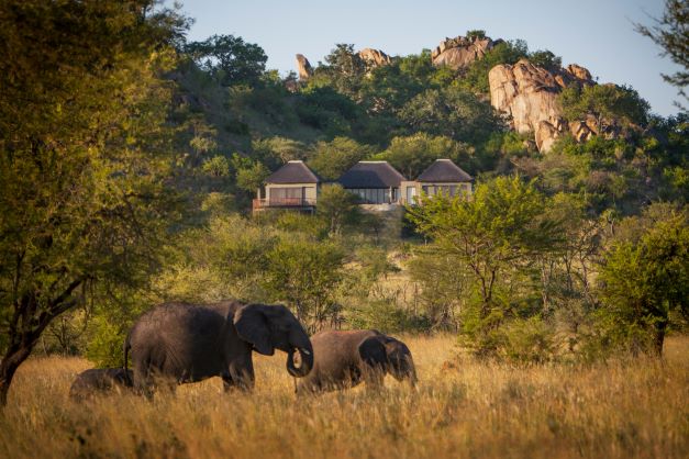 Four Seasons Serengeti Lodge